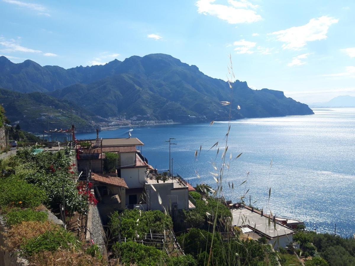 Osolemiohouse Apartment Minori Bagian luar foto